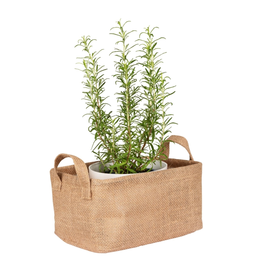 WENKO 64471100 - JUNA-kori 24x17 cm, ruskea