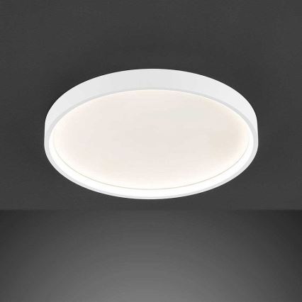 Wofi 12055 - LED-himmennettävä kattovalaisin DUBAI LED/27,5W/230V valkoinen