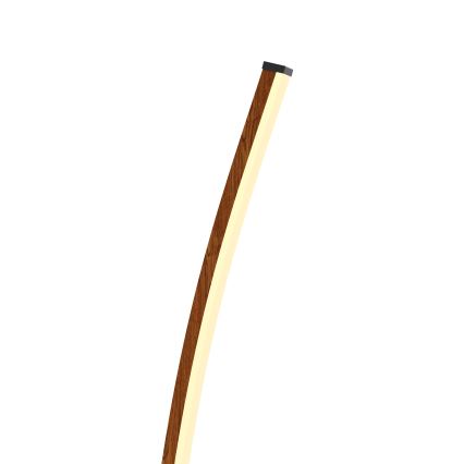 Wofi 3020-106 - Himmennettävä LED-lattiavalaisin BOLOGNA LED/21W/230V