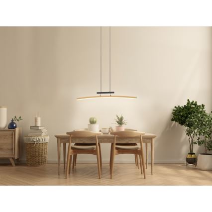 Wofi 7020-106 - Himmennettävä LED-kattokruunu johdossa BOLOGNA LED/27W/230V
