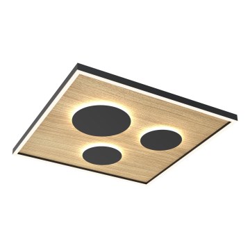 Wofi 9012-306L - Himmennettävä LED-kattovalaisin DIJON LED/40W/230V