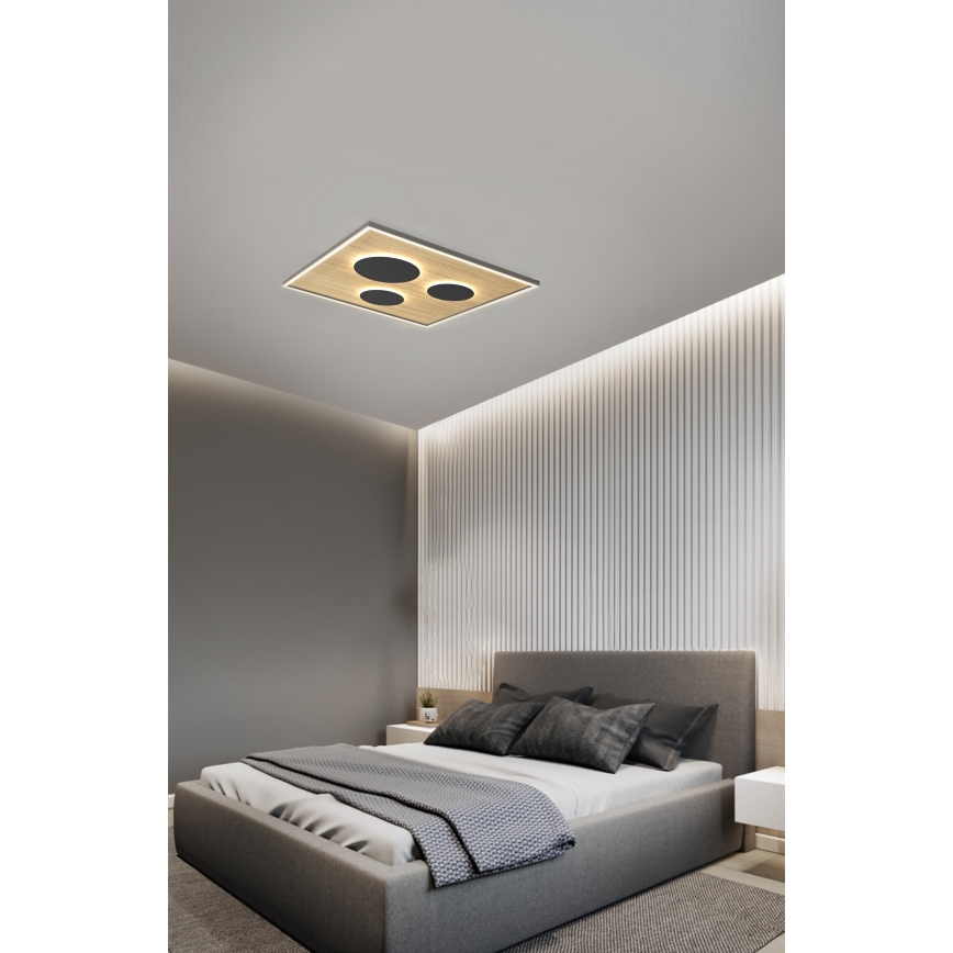 Wofi 9012-306L - Himmennettävä LED-kattovalaisin DIJON LED/40W/230V