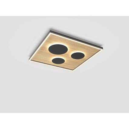 Wofi 9012-306L - Himmennettävä LED-kattovalaisin DIJON LED/40W/230V
