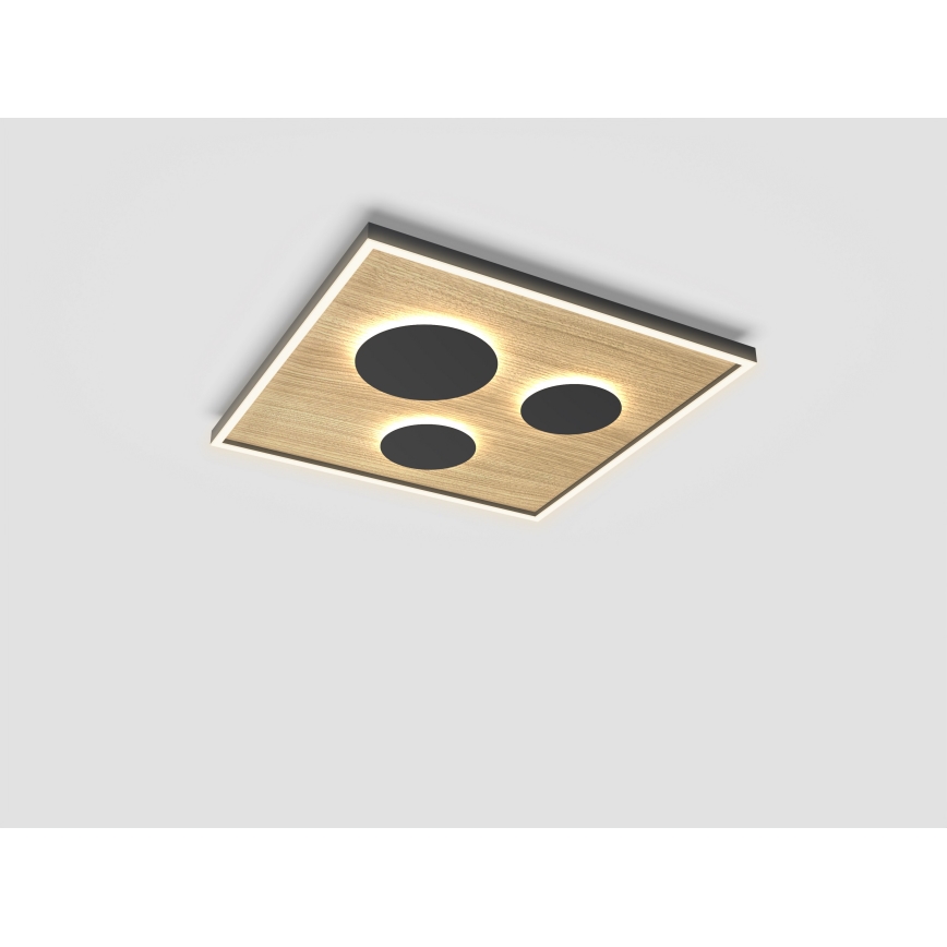 Wofi 9012-306L - Himmennettävä LED-kattovalaisin DIJON LED/40W/230V