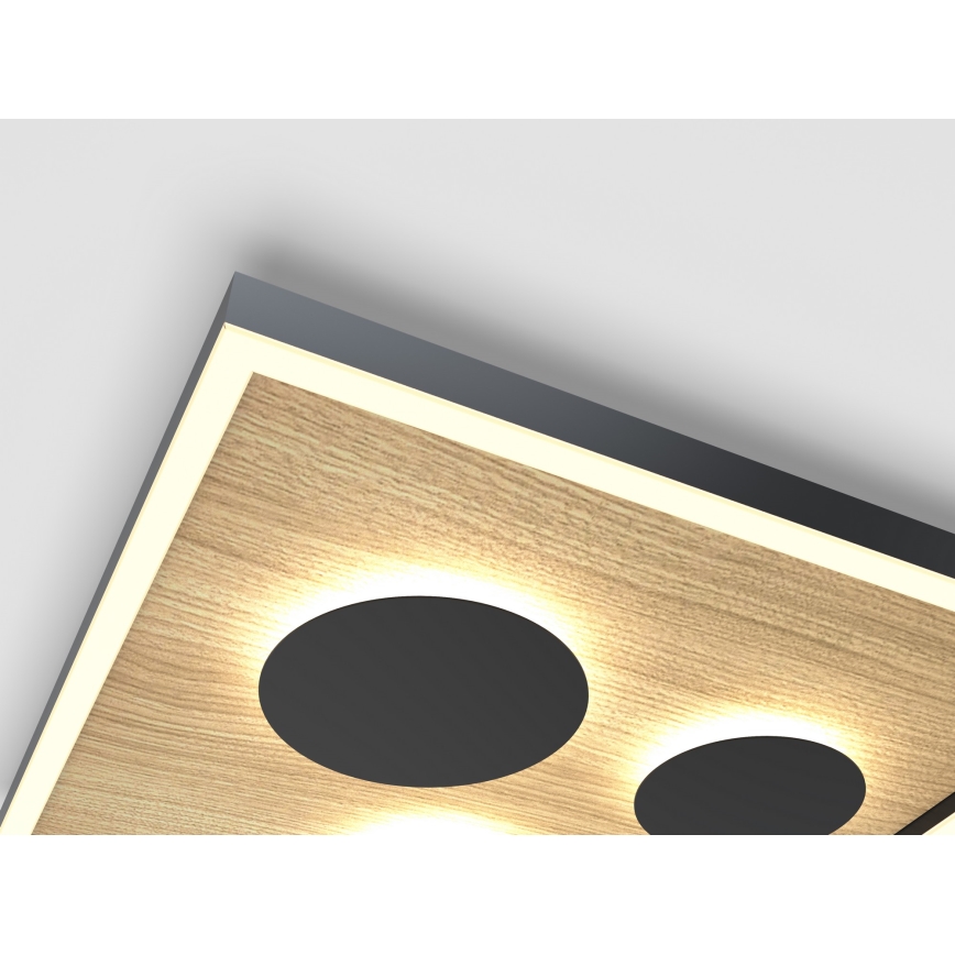 Wofi 9012-306L - Himmennettävä LED-kattovalaisin DIJON LED/40W/230V