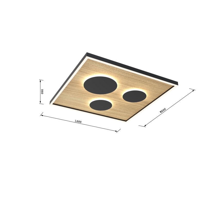 Wofi 9012-306L - Himmennettävä LED-kattovalaisin DIJON LED/40W/230V