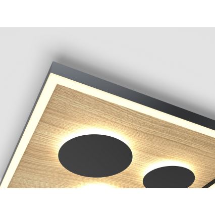 Wofi 9012-306S - LED himmennettävä kattovalaisin DIJON LED/26W/230V