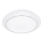 Wofi 9246.01.06.6410 - Himmennettävä LED-kattovalaisin VELDEN LED/18W/230V
