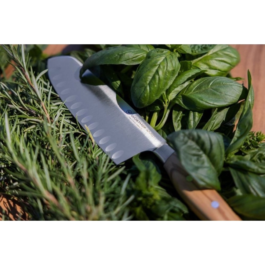 Wüsthof - Keittiöveitsi santoku AMICI 17 cm oliivipuu