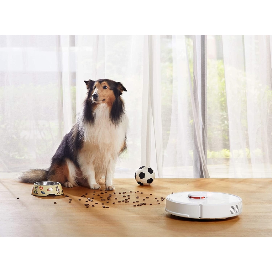 Xiaomi - Älykäs robottipölynimuri ROBOROCK S6 42W Wi-Fi valkoinen