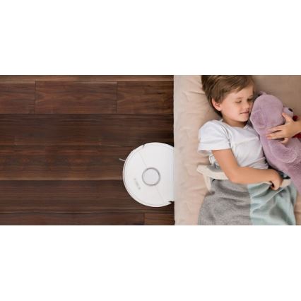 Xiaomi - Älykäs robottipölynimuri ROBOROCK S6 42W Wi-Fi valkoinen