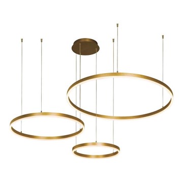 Zambelis 1956-D - Himmennettävä LED-kattokruunu johdossa LED/136W/230V