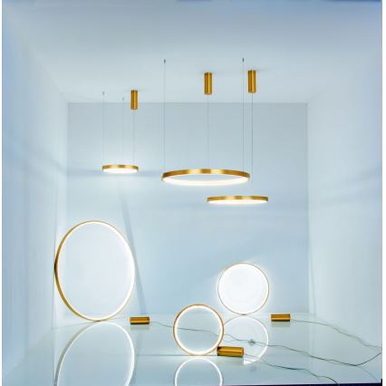 Zambelis 2007 - Himmennettävä LED-kattokruunu johdossa LED/50W/230V kulta