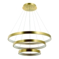 Zambelis 2009 - Himmennettävä LED-kattokruunu johdossa LED/112W/230V kulta