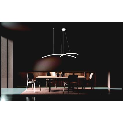 Zambelis 20129 - Himmennettävä LED-kattokruunu johdossa LED/48W/230V valkoinen