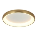 Zambelis 2042 - Himmennettävä LED-kattovalaisin LED/30W/230V halkaisija 40 cm kulta