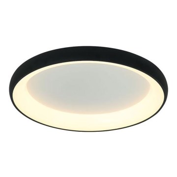 Zambelis 2048 - Himmennettävä LED-kattovalaisin LED/50W/230V halkaisija 60 cm musta