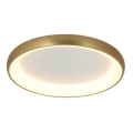 Zambelis 2050 - Himmennettävä LED-kattovalaisin LED/50W/230V halkaisija 60 cm kulta