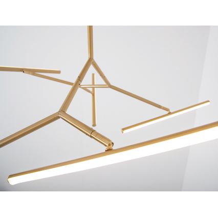 Zambelis 2071 - Himmennettävä LED-riipuskattokruunu LED/49W/230V kulta