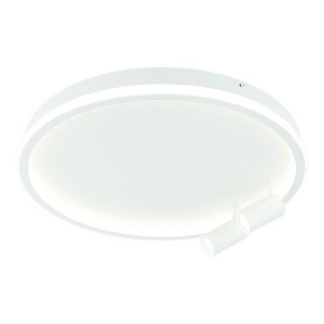 Zambelis 22015 - Himmennettävä LED-kattovalaisin LED/71W/230V valkoinen