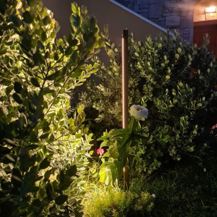 Zambelis E280 - LED-ulkolamppu LED/15W/230V IP65 ruskea