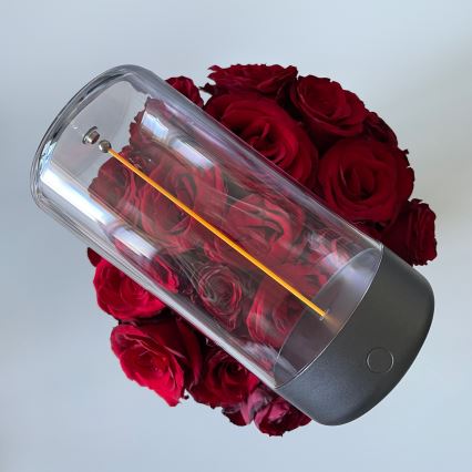 Zuma Line - LED Himmennettävä ja ladattava pöytälamppu LED/0,5W/230V musta IP54