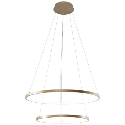 Zuma Line - LED-kattokruunu johdossa LED/50W/230V 3000/4000/6000K halkaisija 60 cm kulta