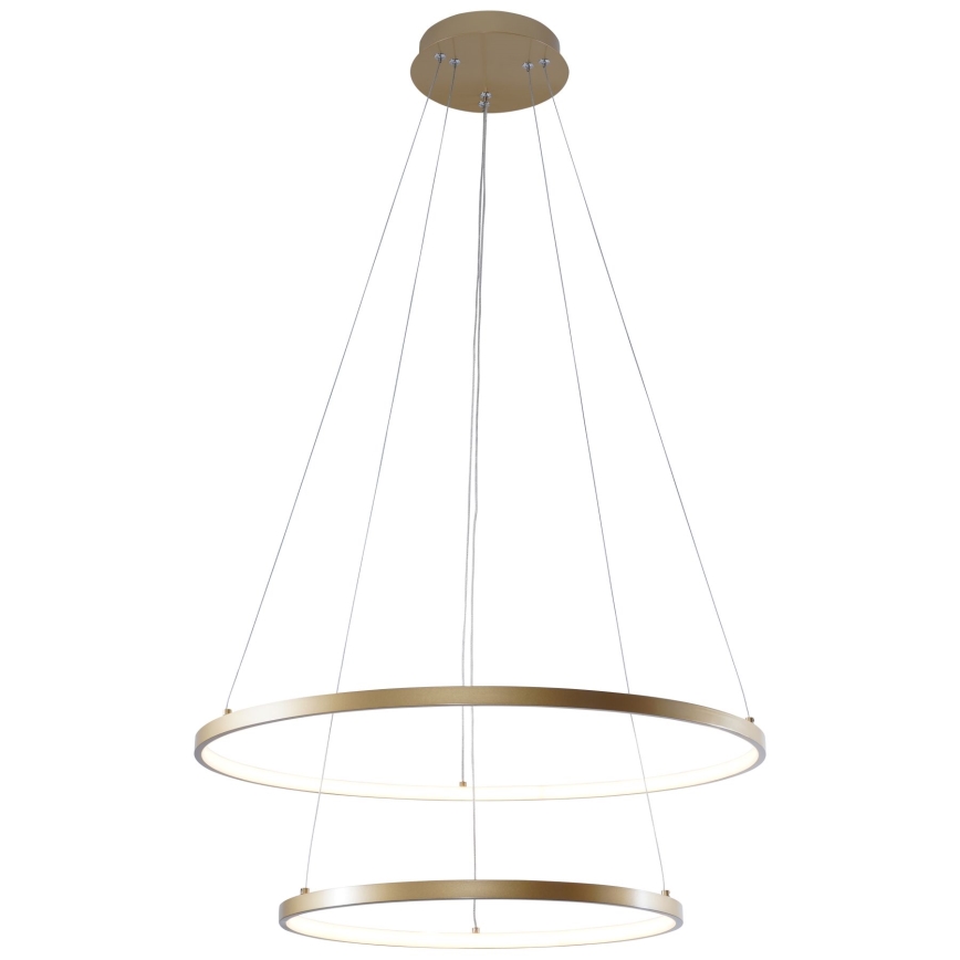 Zuma Line - LED-kattokruunu johdossa LED/50W/230V 3000/4000/6000K halkaisija 60 cm kulta