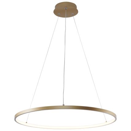 Zuma Line - LED-kattokruunu johdossa LED/28W/230V 3000/4000/6000K halkaisija 60 cm kulta