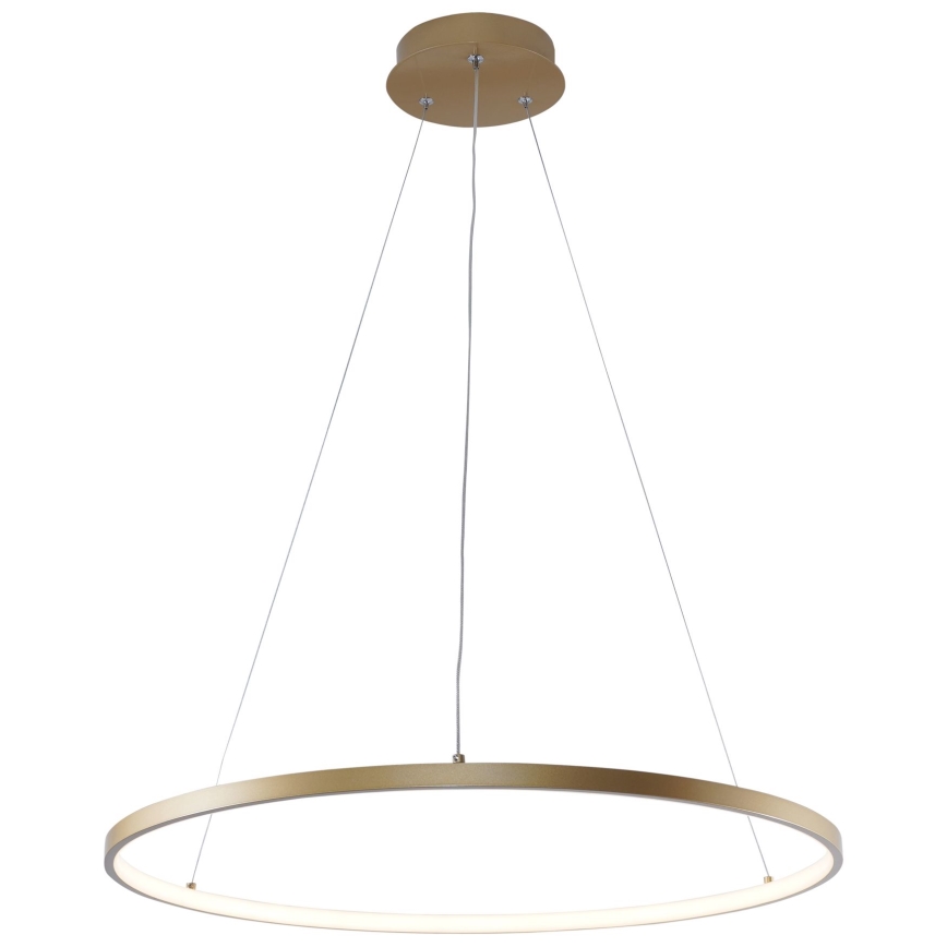 Zuma Line - LED-kattokruunu johdossa LED/28W/230V 3000/4000/6000K halkaisija 60 cm kulta