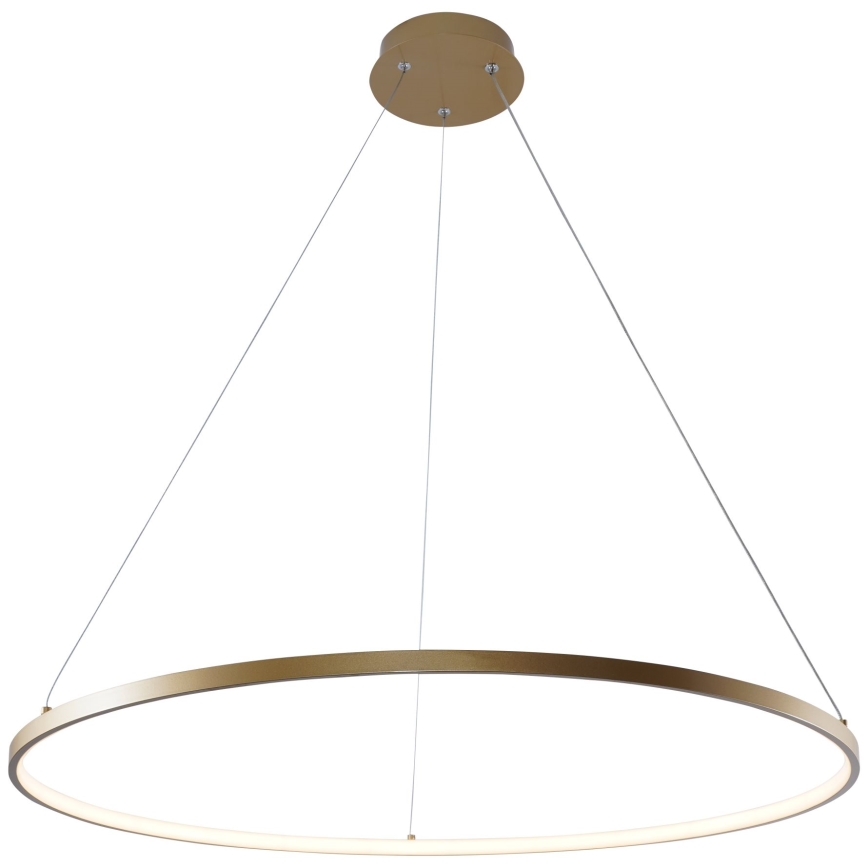 Zuma Line - LED-kattokruunu johdossa LED/36W/230V 3000/4000/6000K halkaisija 80 cm kulta