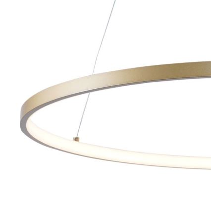 Zuma Line - LED-kattokruunu johdossa LED/36W/230V 3000/4000/6000K halkaisija 80 cm kulta