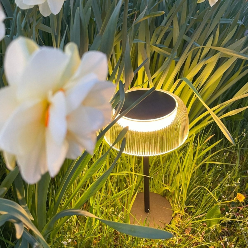 Zuma Line - LED Himmennettävä aurinko ladattava pöytävalaisin LED/2,5W/2000 mAh IP44 musta