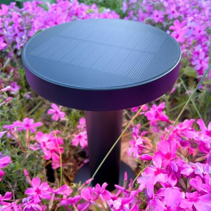 Zuma Line - LED Himmennettävä aurinko ladattava pöytävalaisin LED/2W/2000 mAh IP44 musta