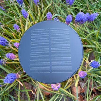Zuma Line - LED Himmennettävä aurinko ladattava pöytävalaisin LED/2W/2000 mAh IP44 musta