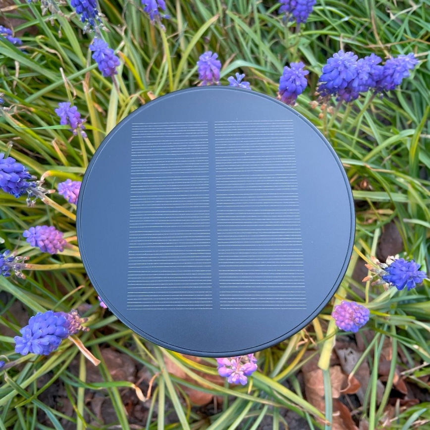 Zuma Line - LED Himmennettävä aurinko ladattava pöytävalaisin LED/2W/2000 mAh IP44 musta