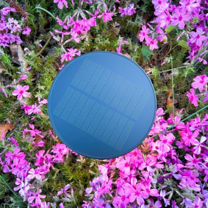 Zuma Line - LED Himmennettävä aurinko ladattava pöytävalaisin LED/2W/2000 mAh IP44 musta