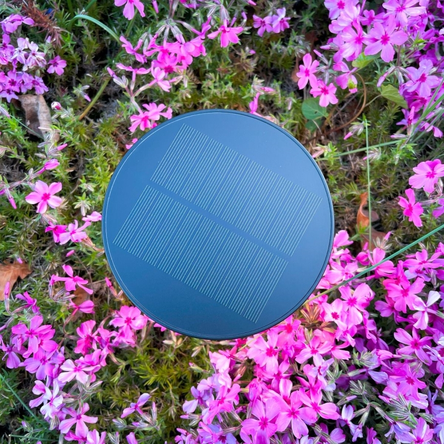 Zuma Line - LED Himmennettävä aurinko ladattava pöytävalaisin LED/2W/2000 mAh IP44 musta