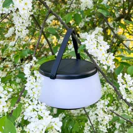 Zuma Line - LED Himmennettävä aurinko ladattava pöytävalaisin LED/2,2W/2000 mAh IP44 musta