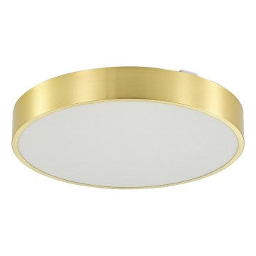 Zuma Line - Himmennettävä kylpyhuoneen LED-kattovalaisin LED/36W/230V 3000-6000K halkaisija 40 cm IP44 kulta + kauko-ohjaus