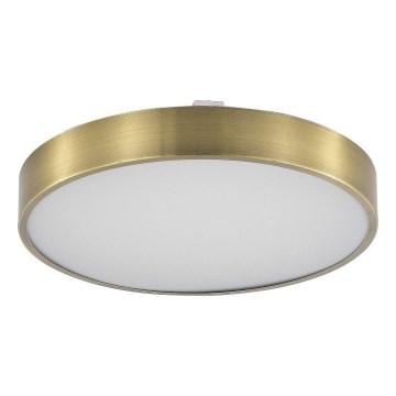 Zuma Line - Himmennettävä kylpyhuoneen LED-kattovalaisin LED/36W/230V 3000-6000K halkaisija 40 cm IP44 messinki + kauko-ohjaus