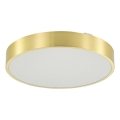 Zuma Line - Himmennettävä kylpyhuoneen LED-kattovalaisin LED/50W/230V 3000-6000K halkaisija 50 cm IP44 kulta + kauko-ohjaus