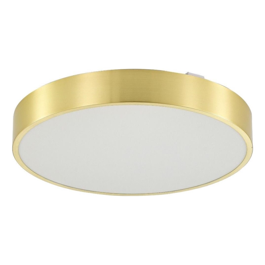 Zuma Line - Himmennettävä kylpyhuoneen LED-kattovalaisin LED/50W/230V 3000-6000K halkaisija 50 cm IP44 kulta + kauko-ohjaus