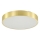 Zuma Line - Himmennettävä kylpyhuoneen LED-kattovalaisin LED/50W/230V 3000-6000K halkaisija 50 cm IP44 kulta + kauko-ohjaus