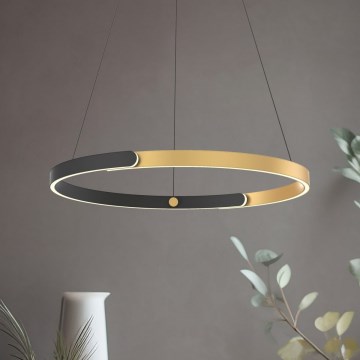 Zuma Line - Himmennettävä LED-kattokruunu johdossa LED/30W/230V musta/kulta