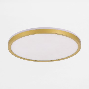 Zuma Line - Himmennettävä LED-kattovalaisin LED/26,5W/230V + LED/6,5W 3000/4000/5500K halkaisija 32 cm kulta