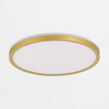 Zuma Line - Himmennettävä LED-kattovalaisin LED/38W/230V + LED/11W 3000/4000/5500K halkaisija 50 cm kulta
