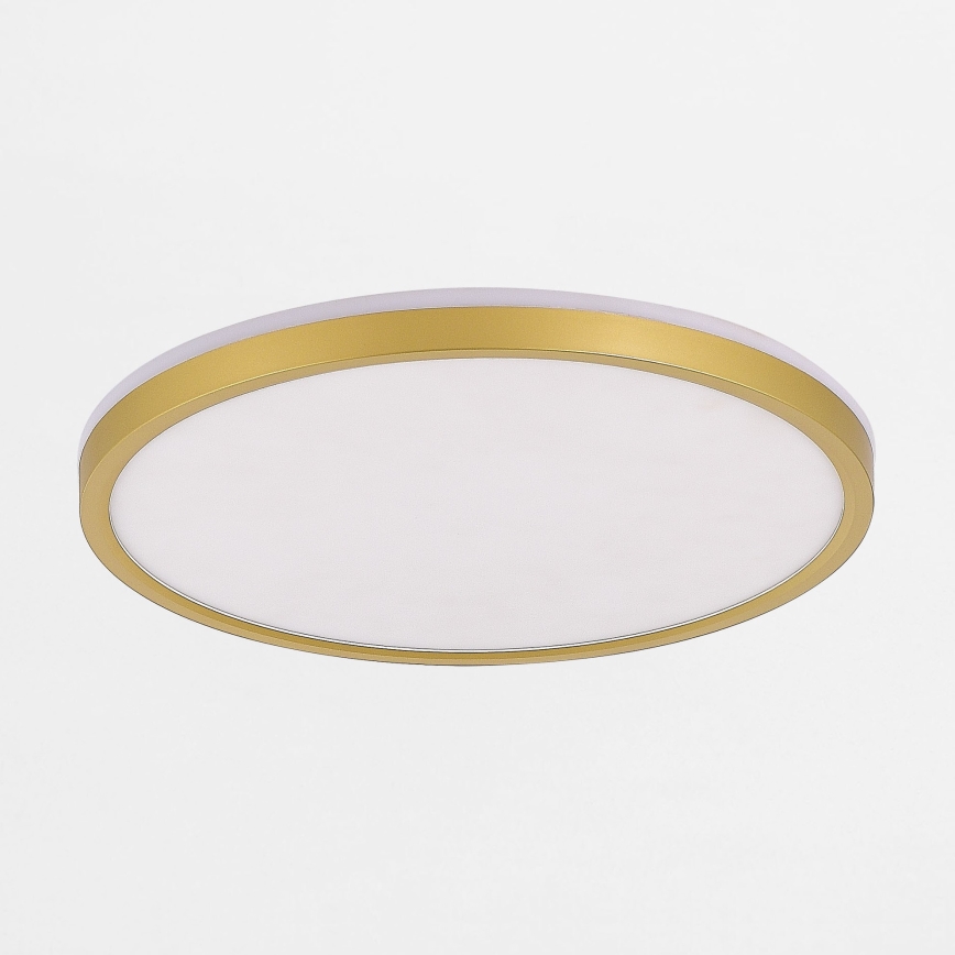 Zuma Line - Himmennettävä LED-kattovalaisin LED/38W/230V + LED/11W 3000/4000/5500K halkaisija 50 cm kulta