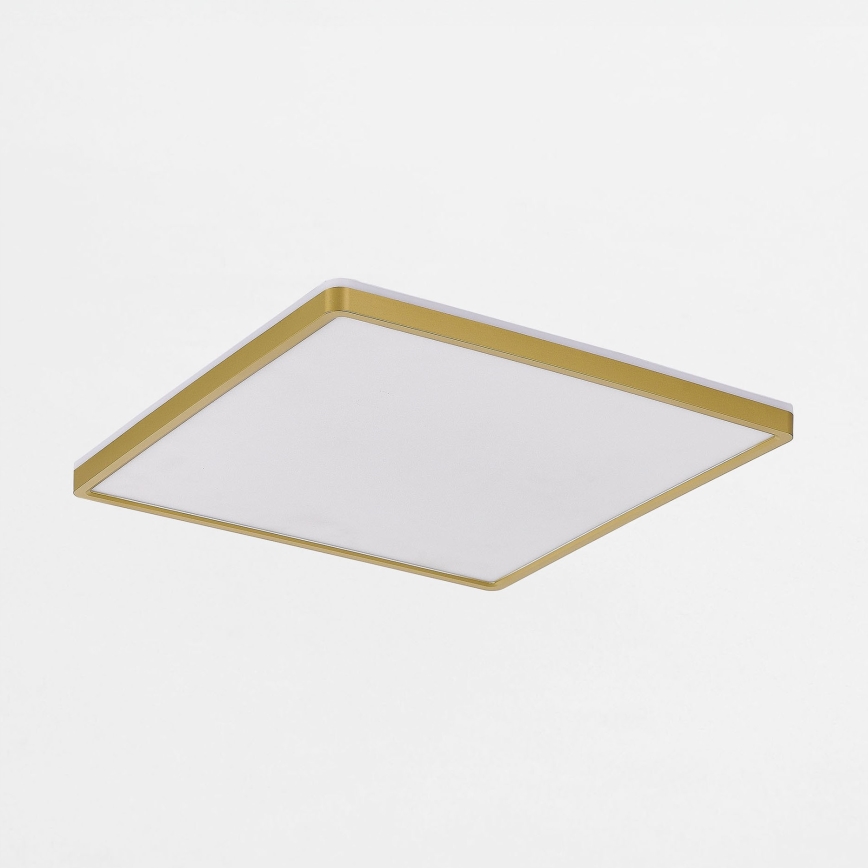 Zuma Line - Himmennettävä LED-kattovalaisin LED/38W/230V + LED/12W 3000/4000/5500K 40x40 cm kulta
