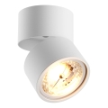 Zuma Line - Kohdevalaisin 1xGU10-ES111/15W/230V valkoinen